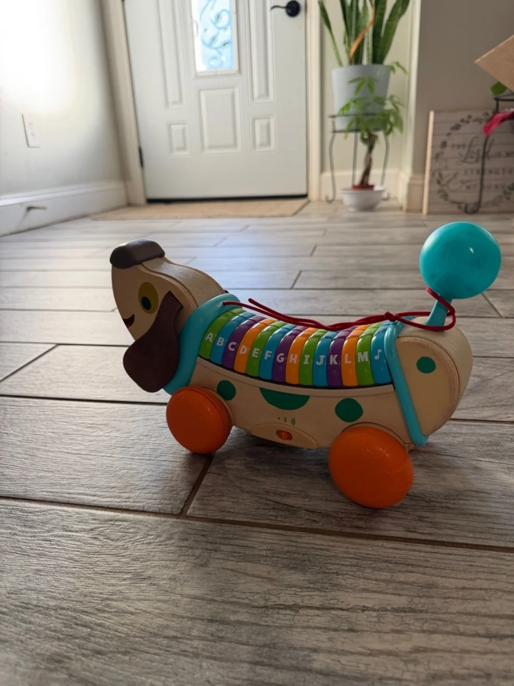 Wooden Alphabet Xylophone Pull-Along Dachshund Toy - Multicolor